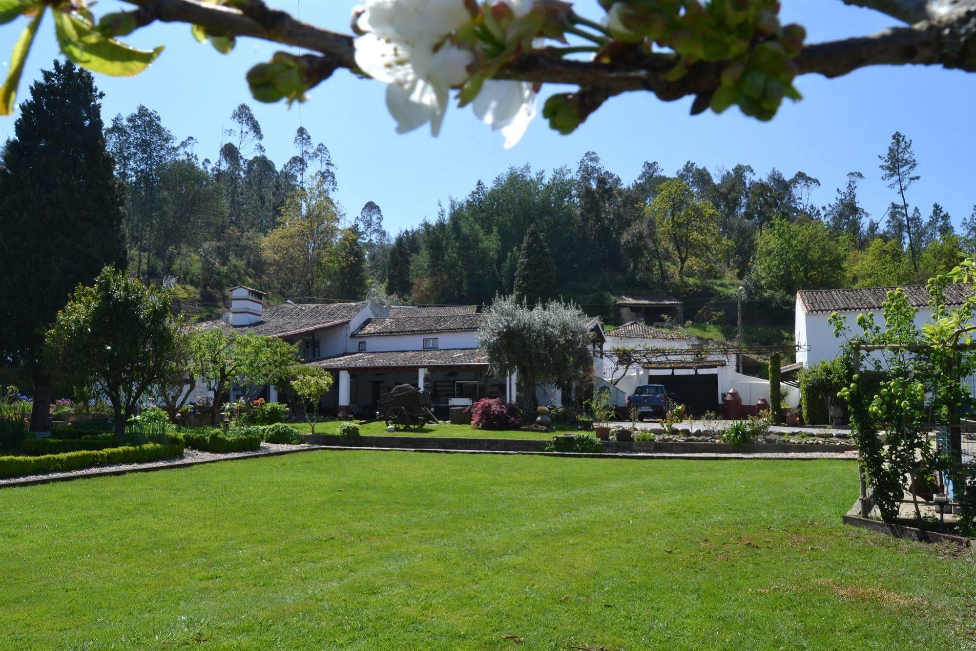 Quintal De Alem Do Ribeiro-Turismo Rural Hotel Lousã Exterior foto